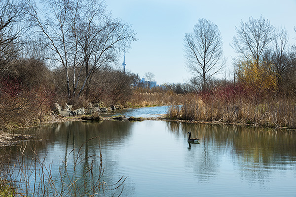 Etobicoke Interesting Sights Humber River