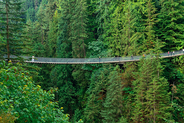 North Vancouver Interesting Sights Capilano Suspension Bridge 1