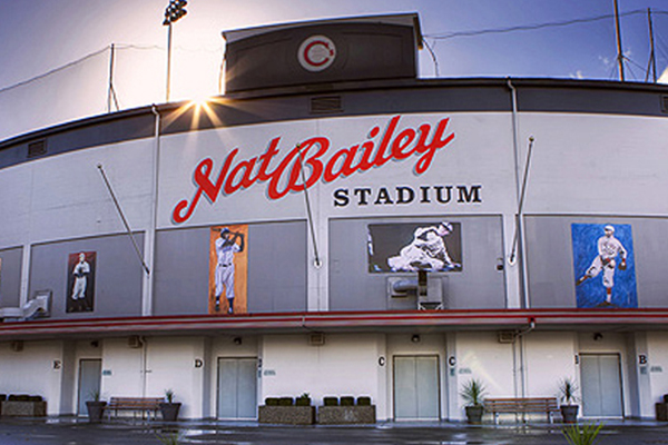 Oakridge Kerrisdale Interesting Sights Nat Bailey Stadium