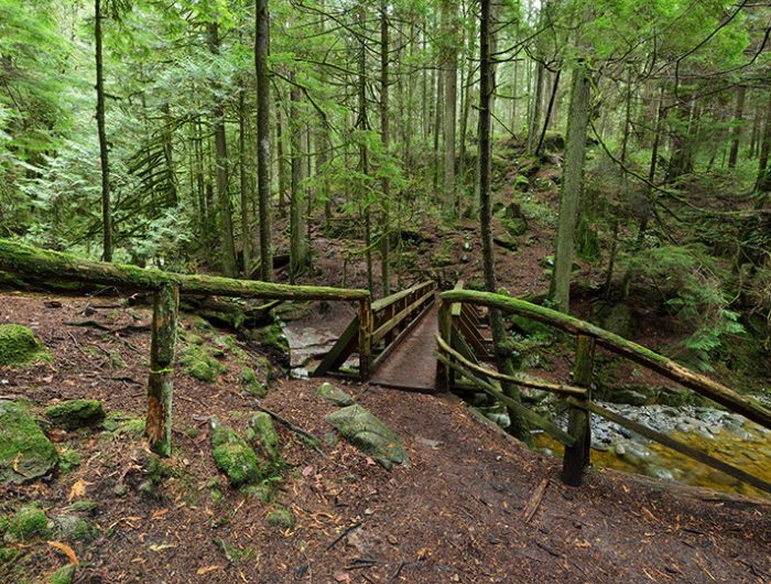 West Vancouver Cypress Trails